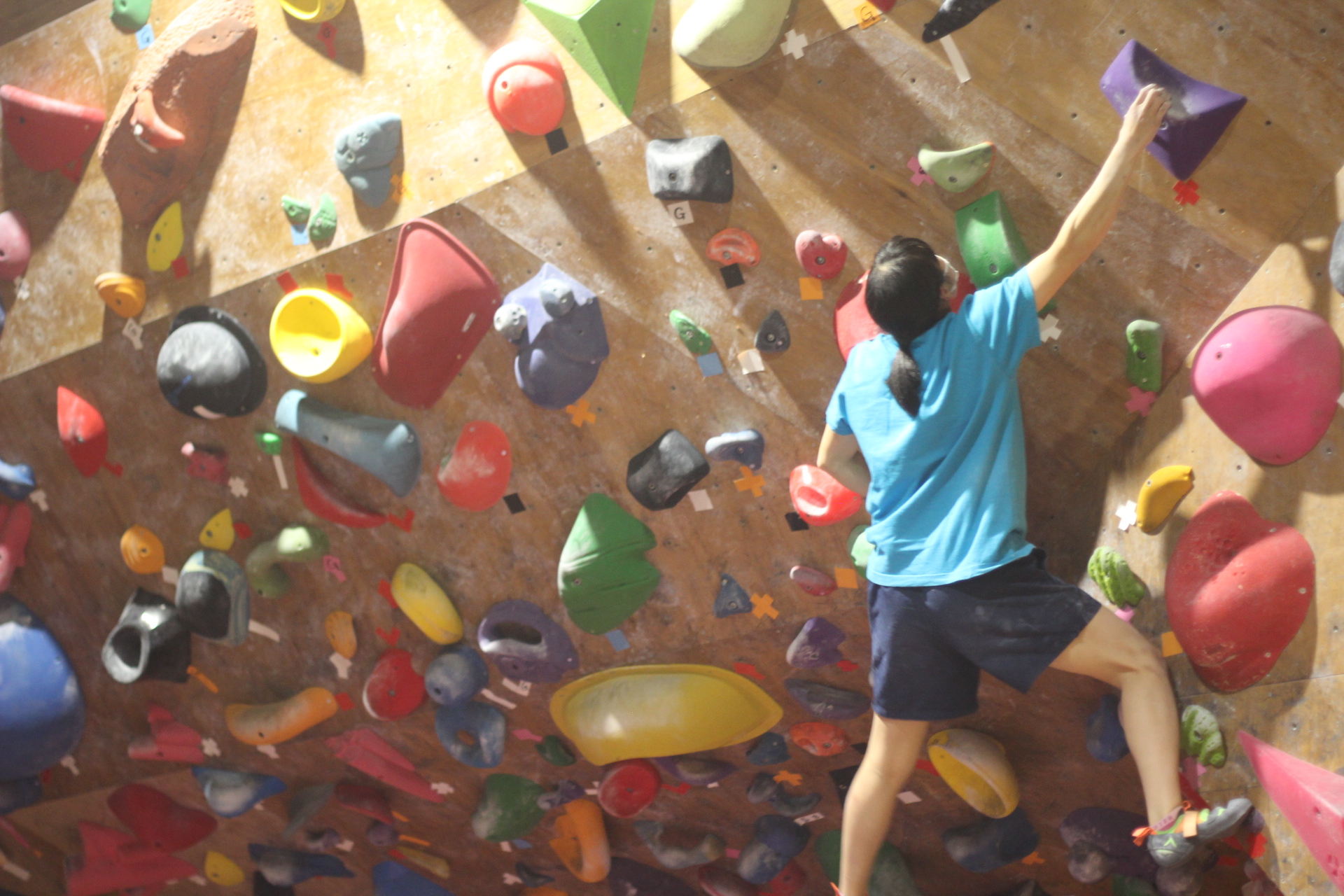 水曜日は定休日となっております