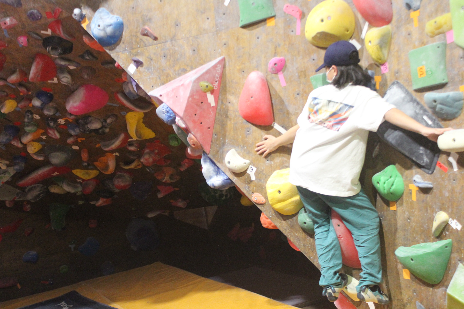 水曜日は定休日となっております